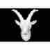 Bru-14405 Benzara Porcelain Wall Mount Ibex Head New 877101144052 Bru-14405 Benzara Porcelain Wall Mount Ibex Head New 877101144052