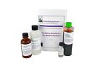 Is7027 Generic Innovating Science Oscillating Reactions Kit The Redox Rainbow