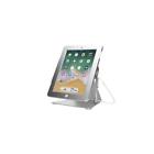 Pad-dass Cta Digital New Security Stand Silver Paddass 656777015404