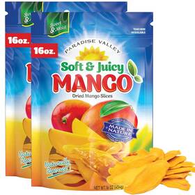 Paradise Valley 760680307591 Dried Mango Slices - Delicious Texture Soft And Juicy Low Sugar 16 Oz 2 Pack