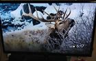 Pn51f4500bf Samsung Tv