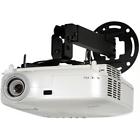 Ppb Paramount By Peerless Universal 735029255413