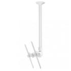 Th-3070-ctlw Atdec Telehook Ceiling Mount 881493009424