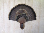 Solid Black Walnut Turkey Fan / Beard Mounting Kit -02. Fixed Price $33.99.