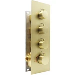 Homedec 3 Function Shower Mixing Valve And Trim Kit, Brushed Gold Ways Thermos. Fixed Price $477.33.