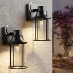 Outdoor Light Fixture Wall Mount With E26 Crystal Led Bulb Dusk To Dawn Porch. Fixed Price $116.99.