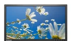 *lot Of Lenovo Think Vision 22" Led Monitor T2254PC, Vga, Hdmi, Dp. Fixed Price $113.95.