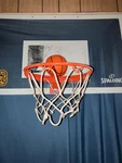 Tekk Nate Robinson Monster Jam Mini Hoop 12 X 18IN (TA-22). Fixed Price $28.00.