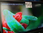 Smart Boards SBID8084I-G4-SMP Interactive Display. Fixed Price $2000.00.