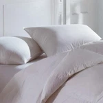 Downright Cascada Summit 600 Fill Power Goose Pillow King Medium 50/50 Bed. Fixed Price $89.99.
