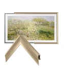 Deco Tv Frames 55" Alloy Prismatic For Samsung The Pro. Fixed Price $299.99.