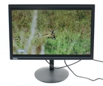 Lenovo Thinkvision T2254P Widescreen Led Monitor With Stand Vga Hdmi. Fixed Price $69.99.