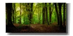 Epic Graffiti 'summer Forest' By Nicklas Gustafsson Canvas Wall Art. Fixed Price $274.99.