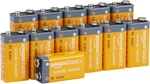 Amazon Basics 12-PACK 9V Alkaline Batteries, 5-YEAR Shelf Life For Smoke/co De. Fixed Price $25.81.