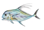 African Pompano Pennant Fishing Home Office Room Camp Decor Decal Wall Art. Fixed Price $6.95.