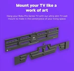 Roku 65" Wall Mount Kit *****only For Pro Series Tv's*****. Fixed Price $40.00.