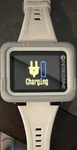 Shearwater Peregrine Dive Computer White Strap W/ Case 120M EN13319 2023. Fixed Price $500.00.