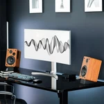 Small Angled Desktop Speaker Stands - 2 Pack. Fixed Price $24.99.