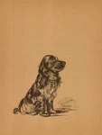 Vintage Lucy Dawson Cocker Spaniel Print Wall Art Decor 1930S Dog 6550M. Fixed Price $18.95.
