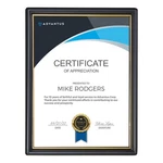 Nudell 11818 Document Frame,black; GOLD,12IN H,PK18 5YGE4. Fixed Price $158.98.