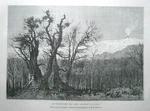 1875 Reclus Print Mount Etna, Sicily, Italy, #39. Fixed Price $22.99.