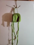 Haiku Women's Mini Pouch/crossbody/ Embroidered Trim Green Handbag/guc. Fixed Price $23.00.